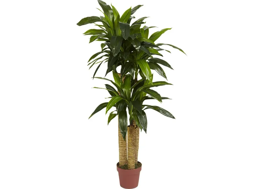 Natlee Green Dracaena Silk Plant-Green 1 27861-natlee-green-dracaena-silk-plant-green-1.webp