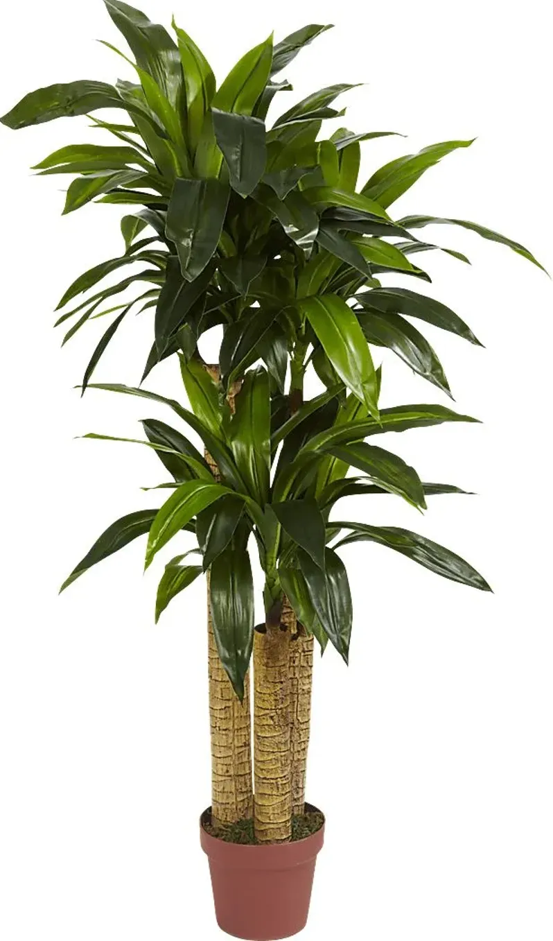 27861-natlee-green-dracaena-silk-plant-green-1.webp