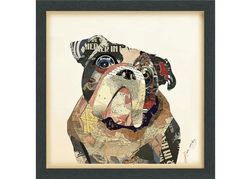 28533-macemon-multi-artwork-multi-1.webp