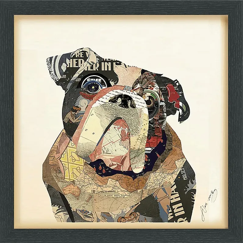 28533-macemon-multi-artwork-multi-1.webp