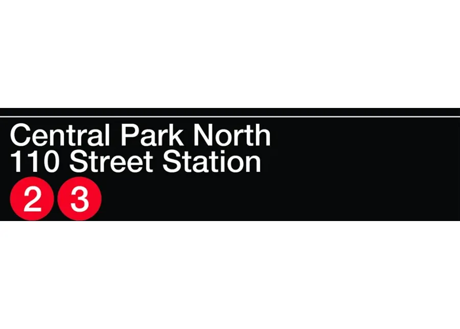 MTA Central Park Black Artwork-Black