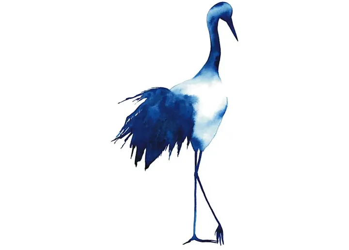 28821-doli-i-artwork-48-1.webp