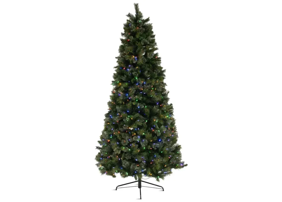 Northland Pine 7.5  Artificial Christmas Tree With 750 Multi Function LED Lights