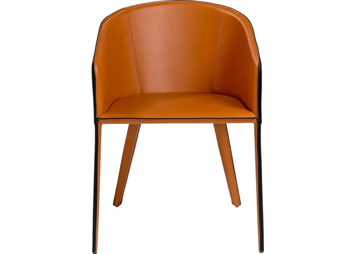 29588-simonview-cognac-arm-chair-cognac-1.webp