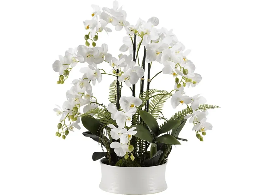 Armelia White Orchid Silk Flower Arrangement-White