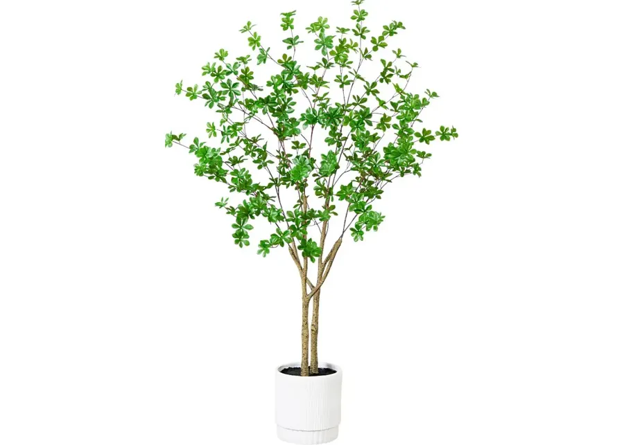 Clyston Green Silk Tree-Green