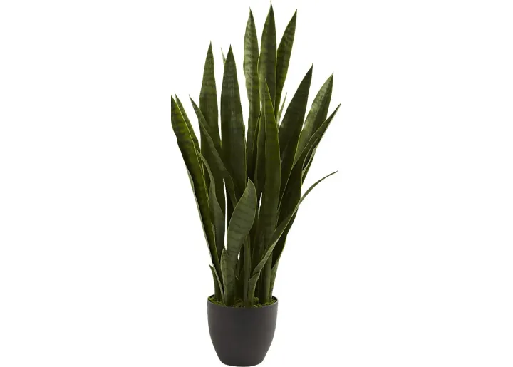 31149-azairah-green-sansevieria-silk-plant-green-1.webp