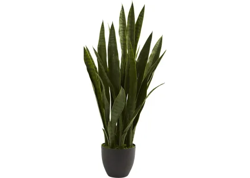 31149-azairah-green-sansevieria-silk-plant-green-1.webp
