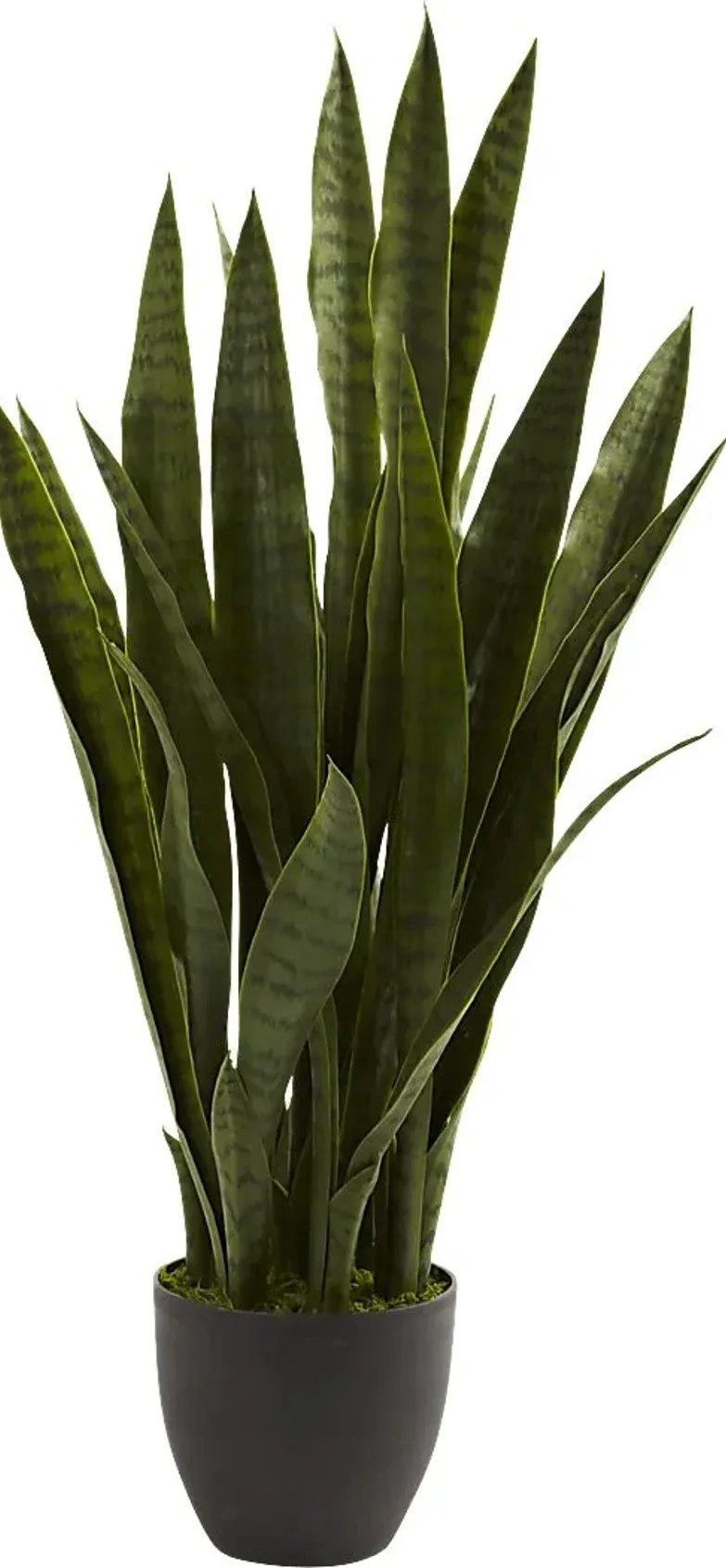 31149-azairah-green-sansevieria-silk-plant-green-1.webp