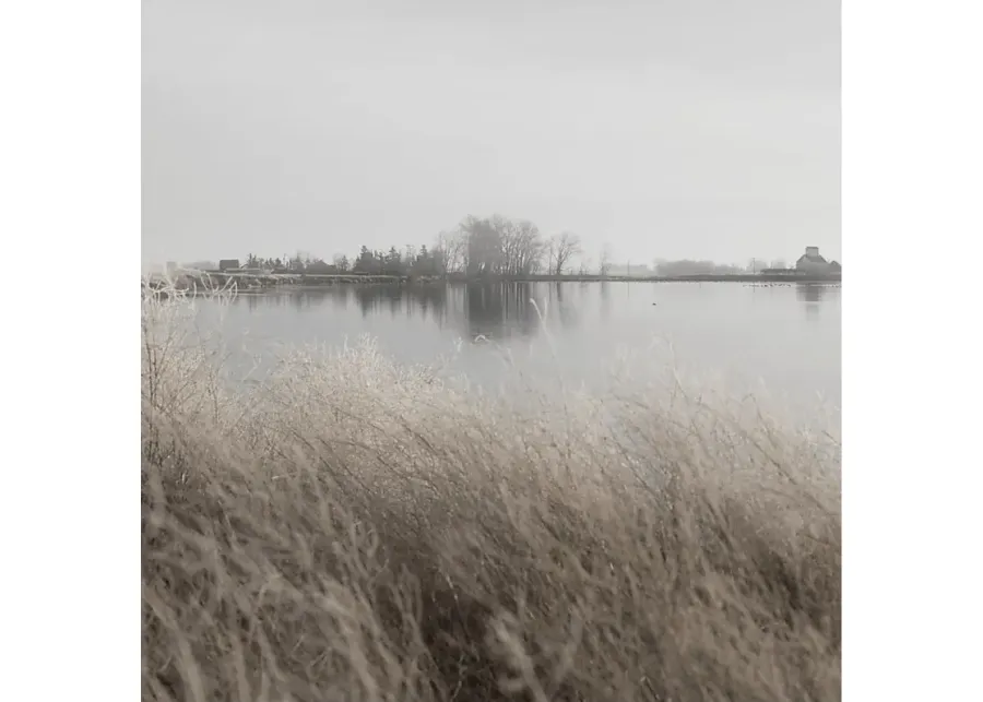 Forheller Multi Canvas Artwork-Multi