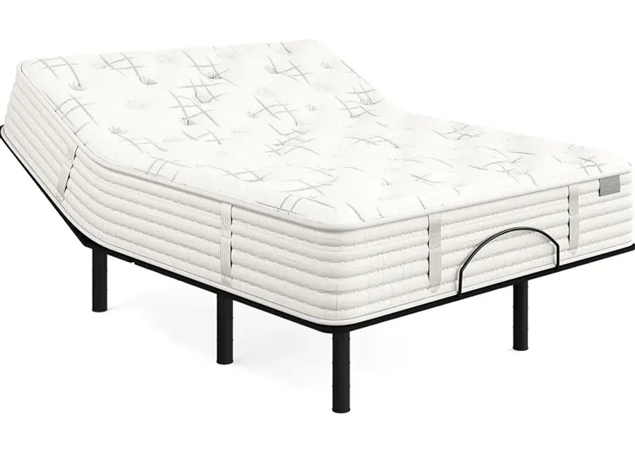 Aireloom Napa Valley Queen Mattress Set with Head Up Only Base