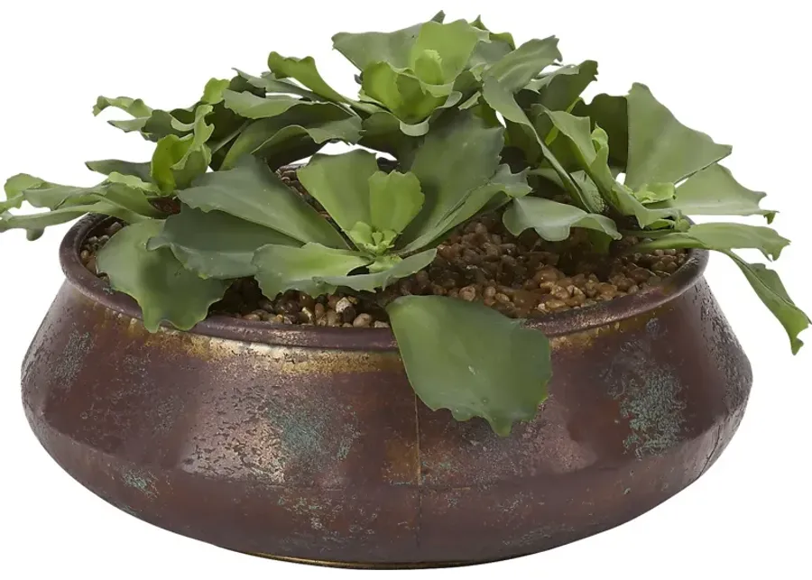 Avali Green Echeveria Silk Plant-Green