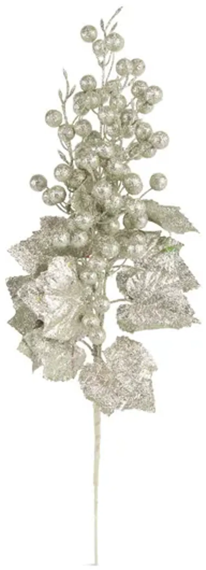 3359-berry-leaf-stem–1.webp