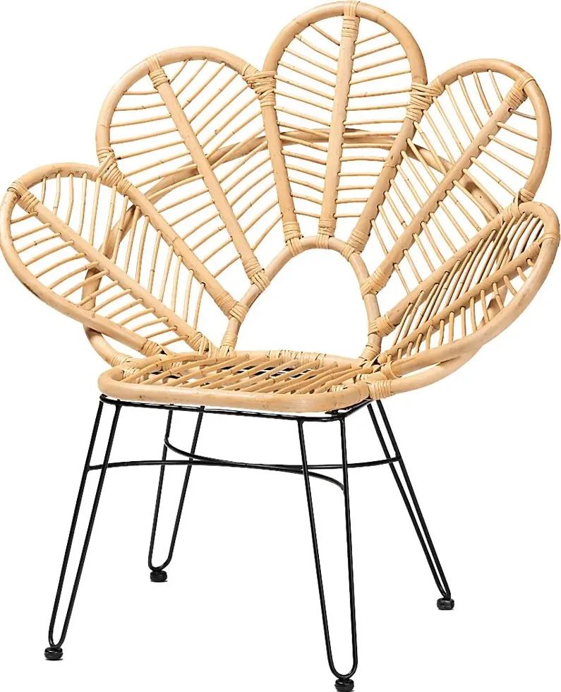 33763-aranye-brown-accent-chair-brown-1.webp