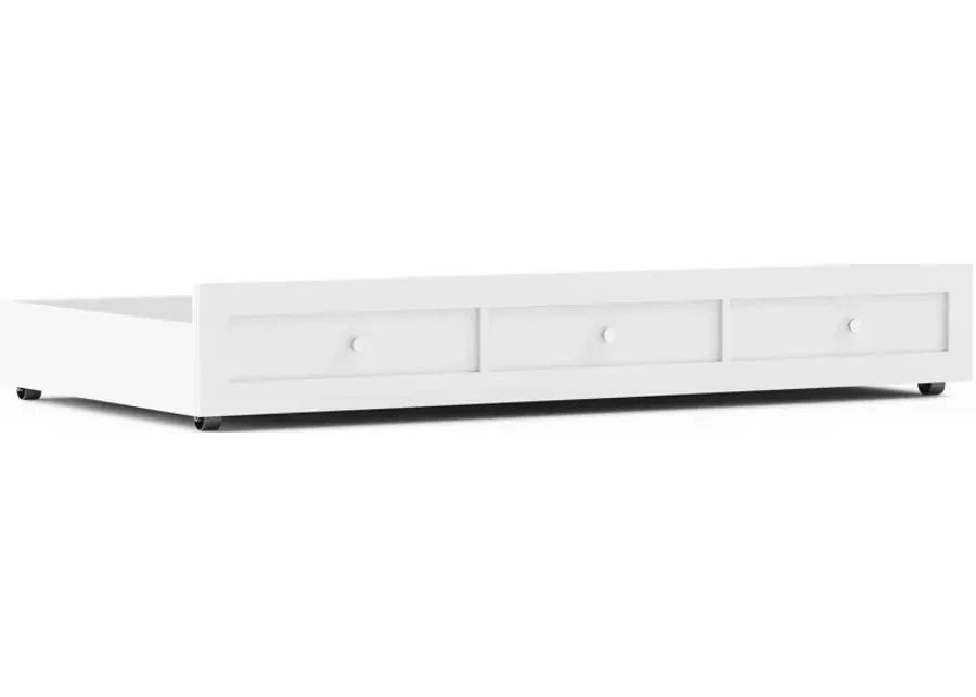 Kids Modern Colors White Twin Storage Trundle-75