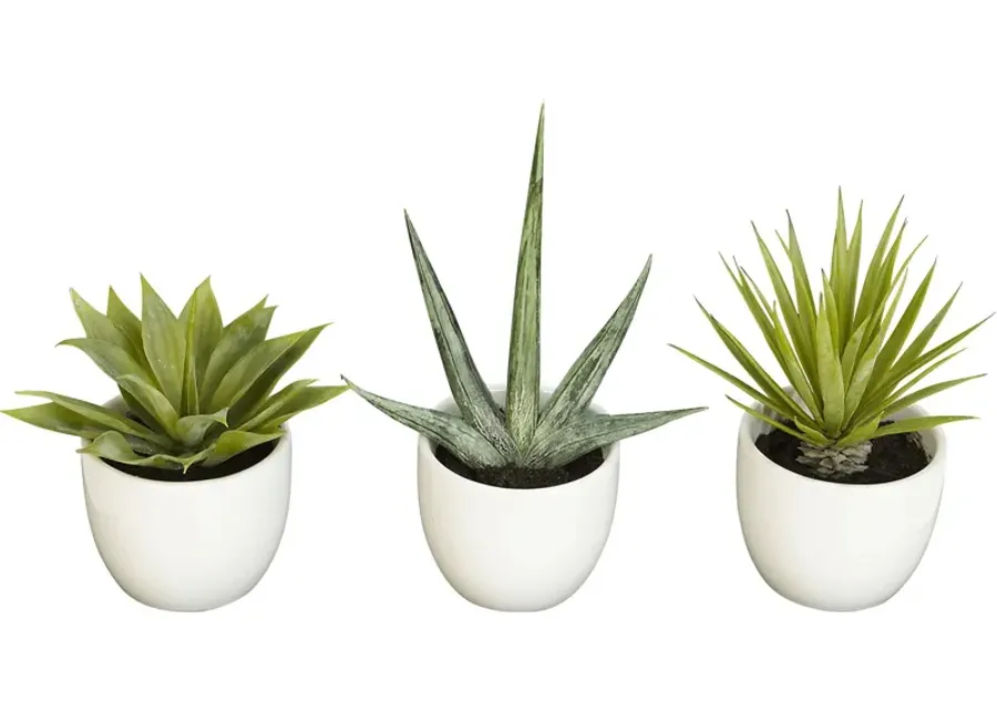 Elide Green Silk Plant, Set of 3-Green