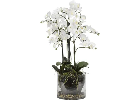35315-evonna-white-orchid-silk-flower-arrangement-white-1.webp