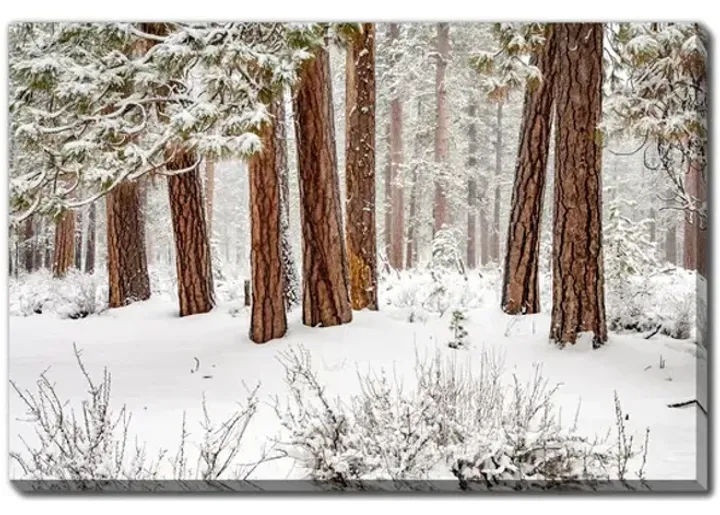 3555-winter-forest-canvas-art-1.webp