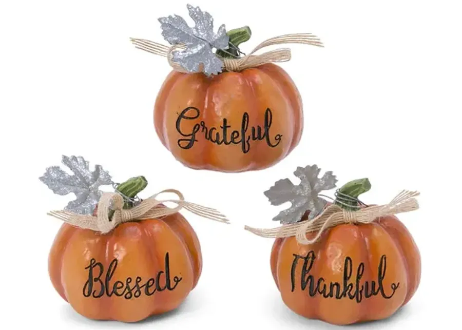3582-assorted-pumpkins-with-sayings-1.webp