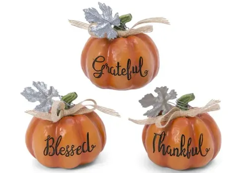 3582-assorted-pumpkins-with-sayings-1.webp