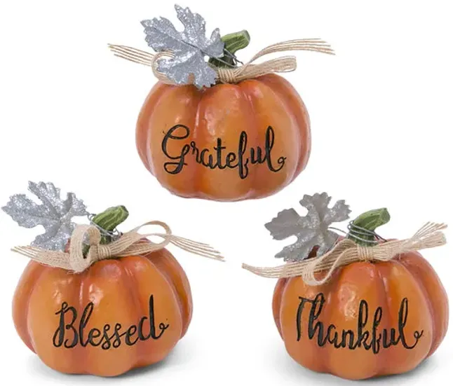 3582-assorted-pumpkins-with-sayings-1.webp