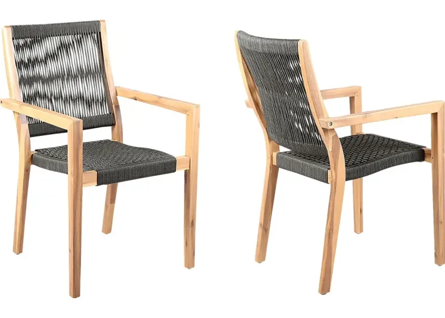 Outdoor Borbeck Black Arm Chair, Set of 2-Black