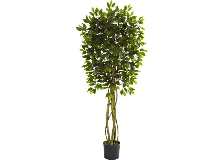 Skylia Green Ficus Indoor/Outdoor Silk Tree-Green