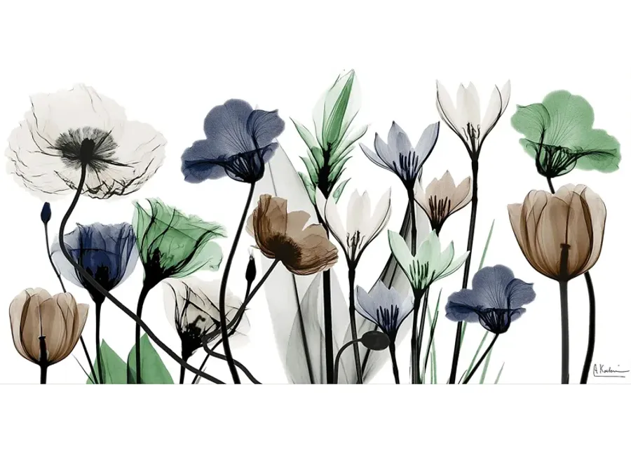 Rillito Multi Artwork-Multi 1 37110-rillito-multi-artwork-multi-1.webp