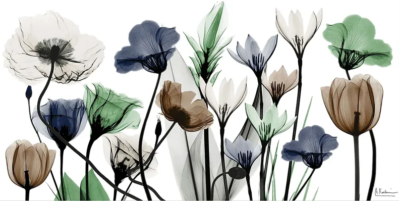 37110-rillito-multi-artwork-multi-1.webp