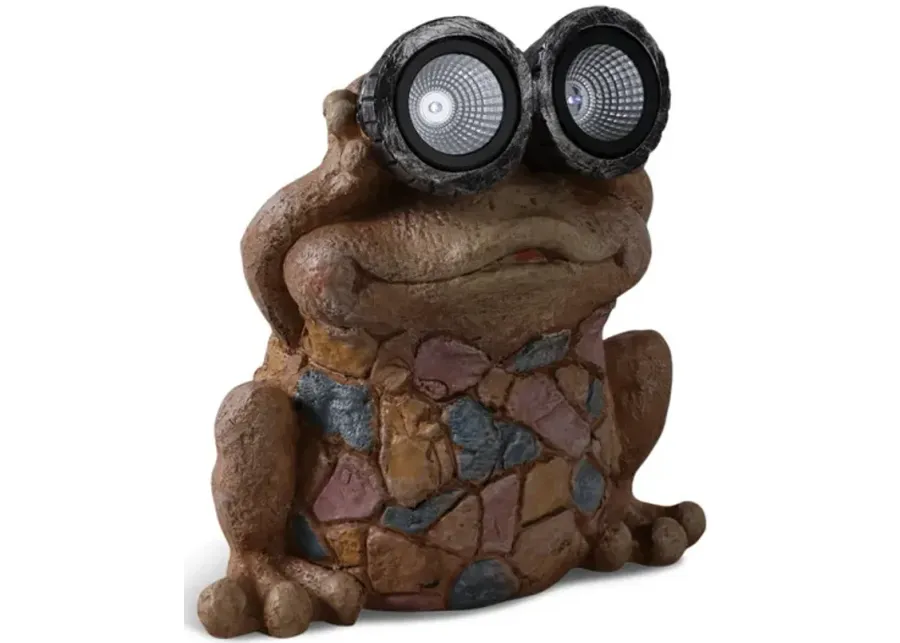 Frog With Solar Goggles