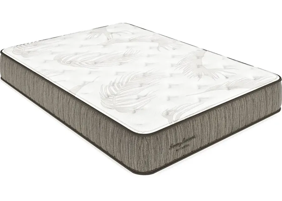 Tommy Bahama Bay Dreamer Full Mattress-53.5