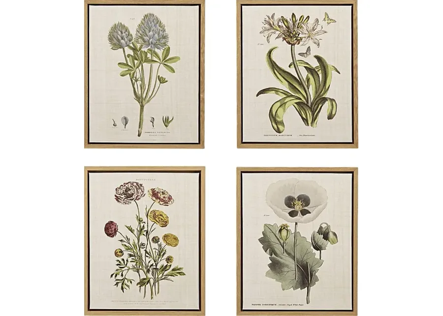 Nucham Green Artwork, Set of 4-Green 1 38872-nucham-green-artwork-set-of-4-green-1.webp