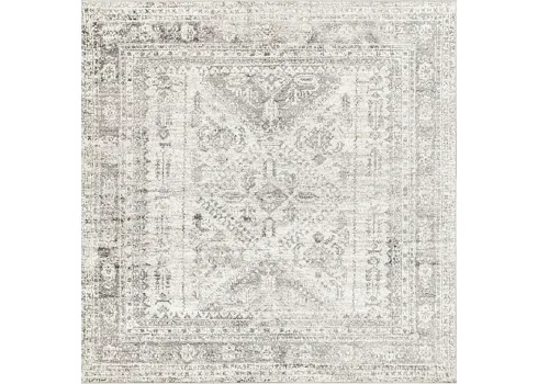 39599-transcom-iii-gray-6-7-square-rug-white-gray-1.webp