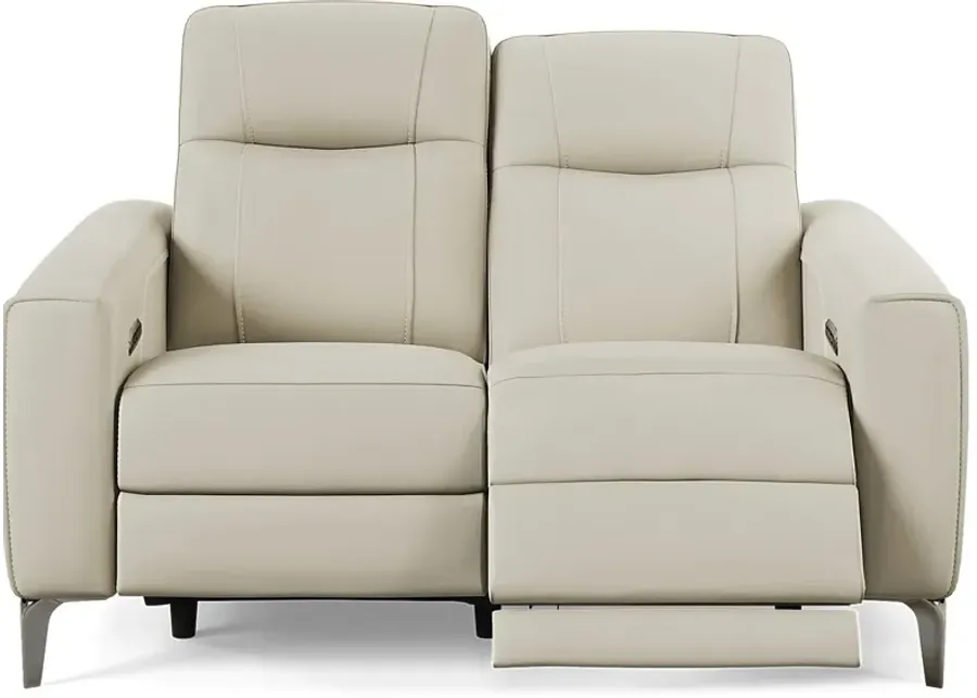 Parkside Heights Beige Leather Dual Power Reclining Loveseat-62.5