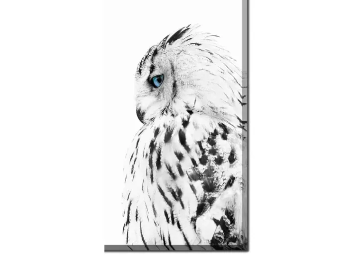 4008-white-owl-profile-canvas-art-1.webp