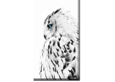 4008-white-owl-profile-canvas-art-1.webp