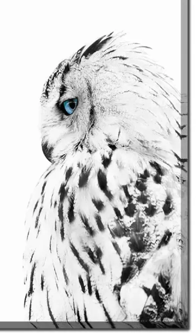4008-white-owl-profile-canvas-art-1.webp