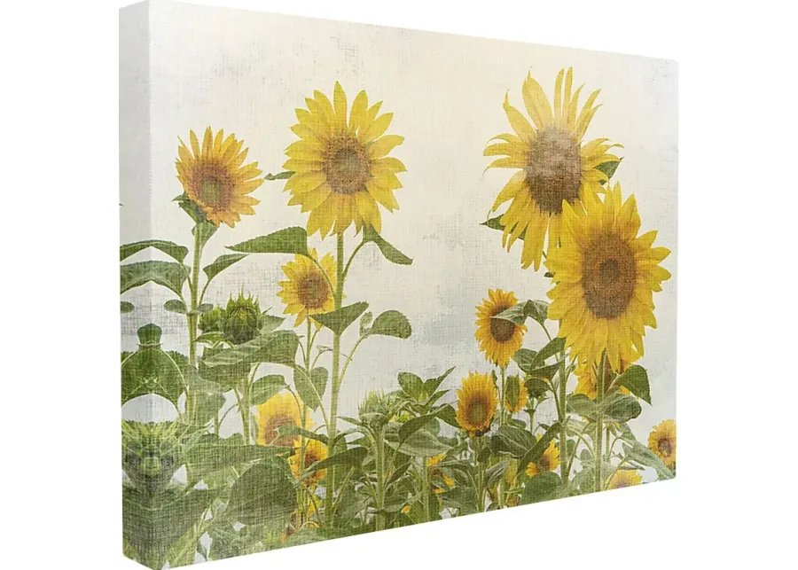 Sunflower Field Artwork-16