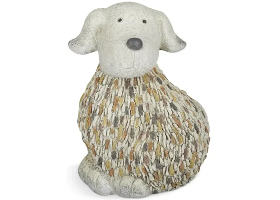 Diego The Dog