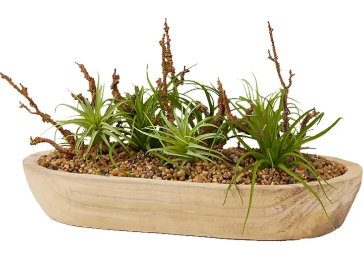 41965-cayada-brown-plant-brown-1.webp