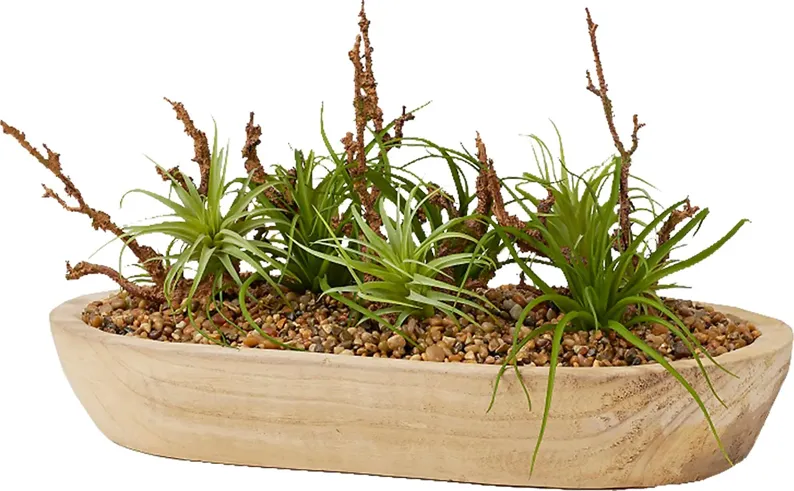 41965-cayada-brown-plant-brown-1.webp