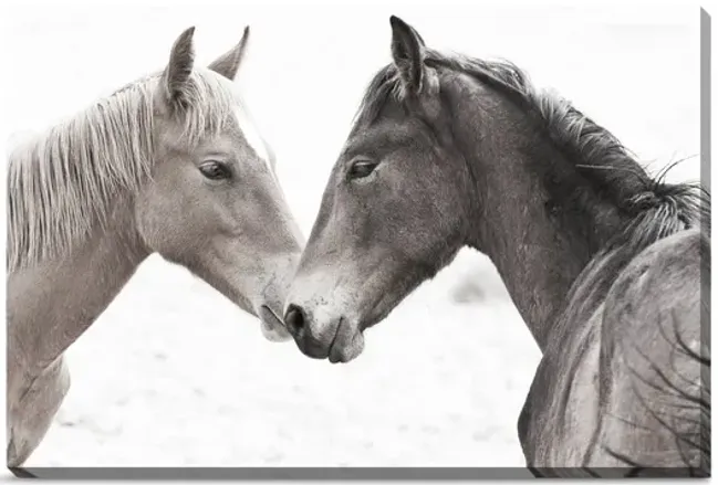 4212-gentle-herd-canvas-art-1.webp