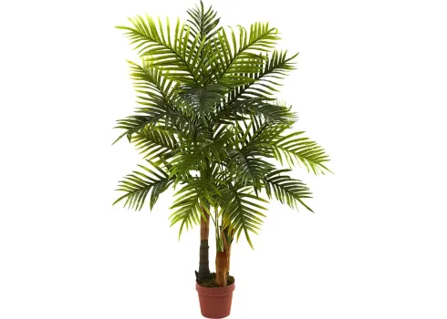 42681-eiza-green-palm-silk-tree-green-1.webp