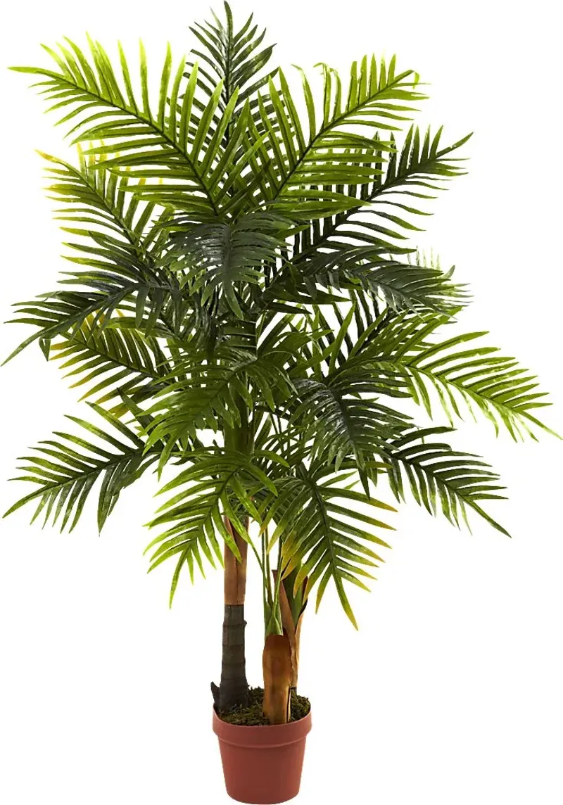 42681-eiza-green-palm-silk-tree-green-1.webp