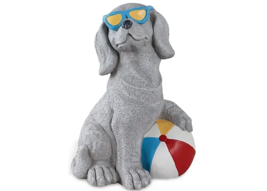 Beach Dog 1 432-beach-dog-1.webp