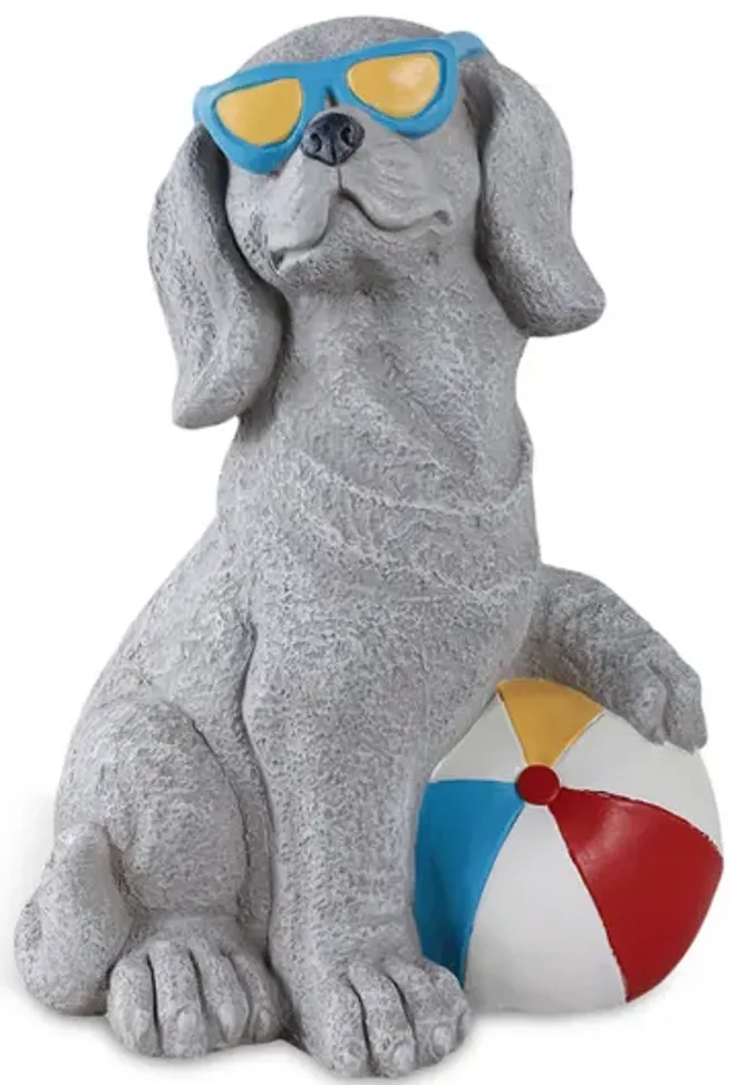 432-beach-dog-1.webp