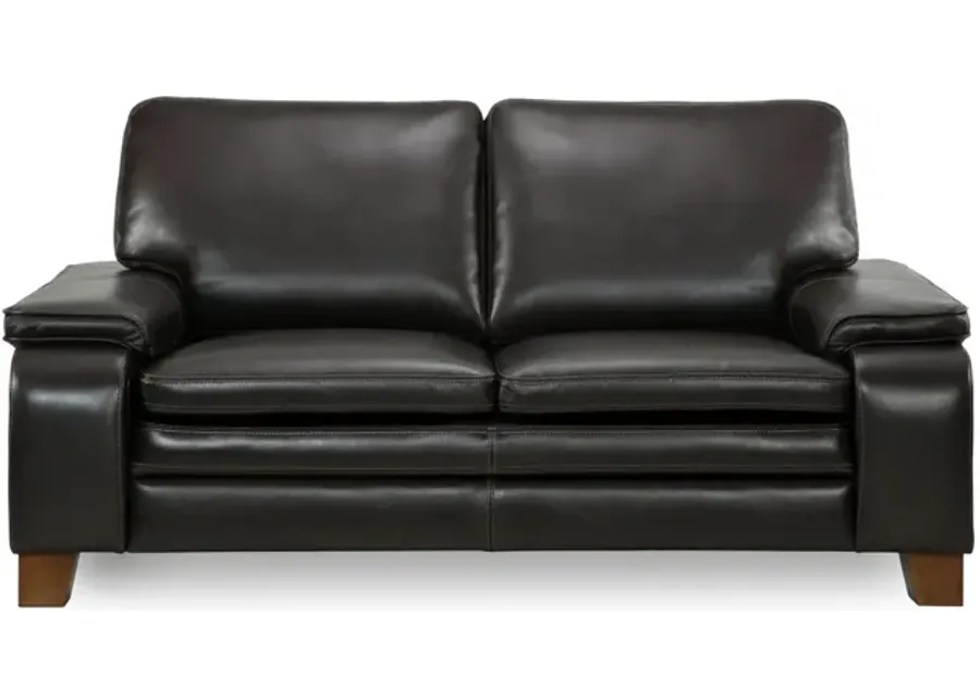 Kodiak Leather Loveseat 1 4379-kodiak-leather-loveseat-1.webp