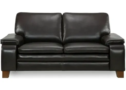 4379-kodiak-leather-loveseat-1.webp