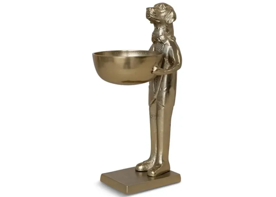 4389-lab-holding-bowl-1.webp
