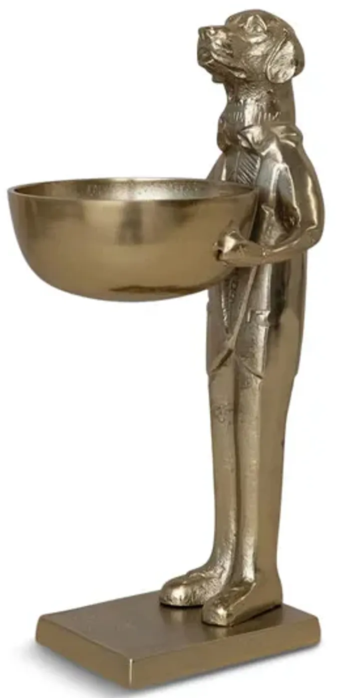 4389-lab-holding-bowl-1.webp
